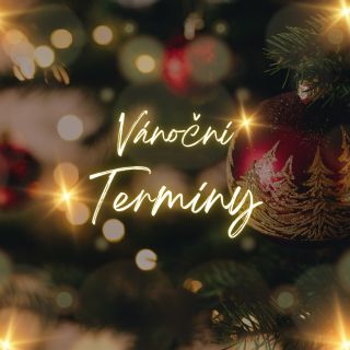 E-shop je před Vánoci pěkně nabitý skladovými kousky – stačí si jen vybrat.🎄 Abyste měli jistotu, že dárky dorazí pod...